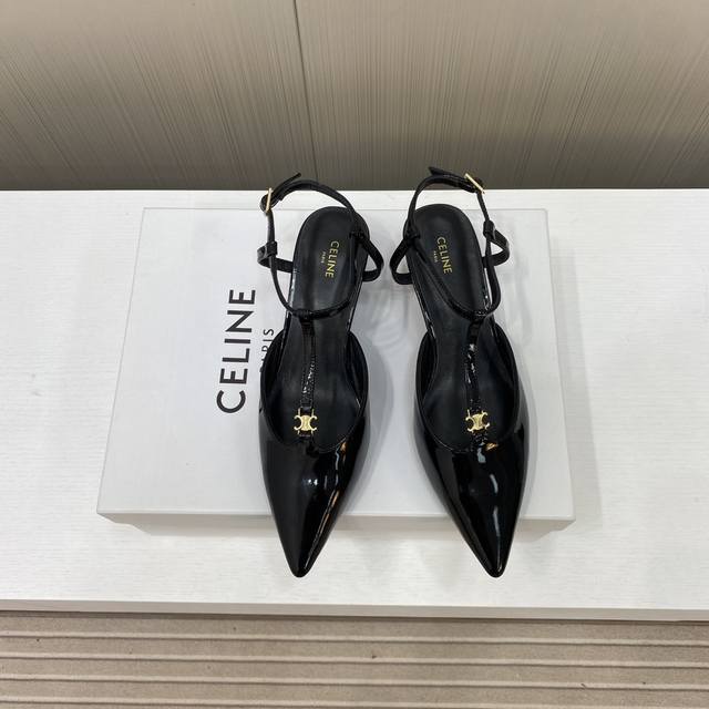 出厂价Celine 赛琳24Ss 早春最美黑银尖头小猫跟高跟鞋～标志性高级优雅 上脚显瘦得来超有气质～百搭日常着用都是一绝的单品！5Cm的小猫跟轻松无压力还一点